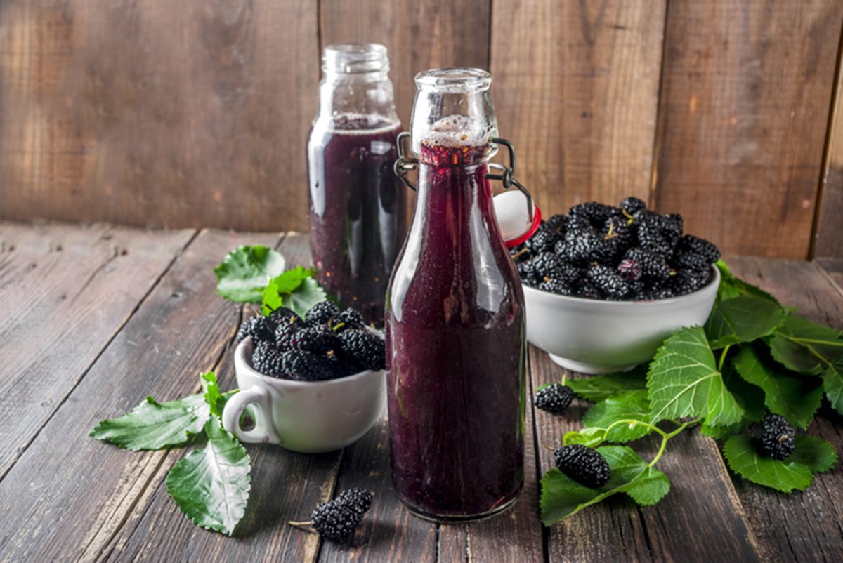 Refrescante Aprenda Receita Do Suco De Amora Ora Pro N Bis