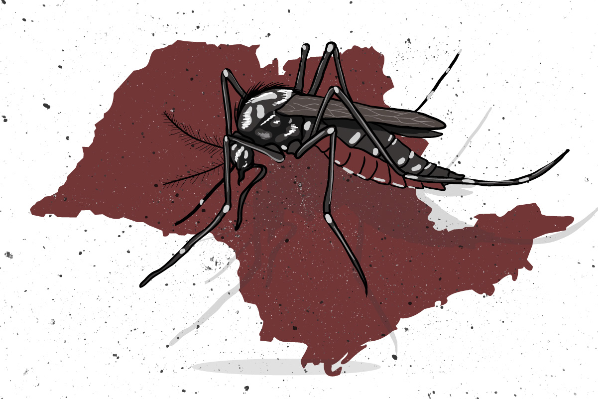 São Paulo bate recorde histórico de mortes por dengue 550 vítimas