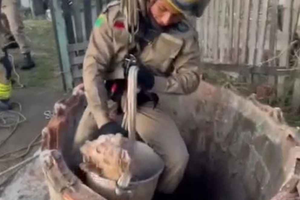 Vídeo Bombeiros Resgatam Cachorro Que Estava Se Afogando Em Poço Metrópoles 3717