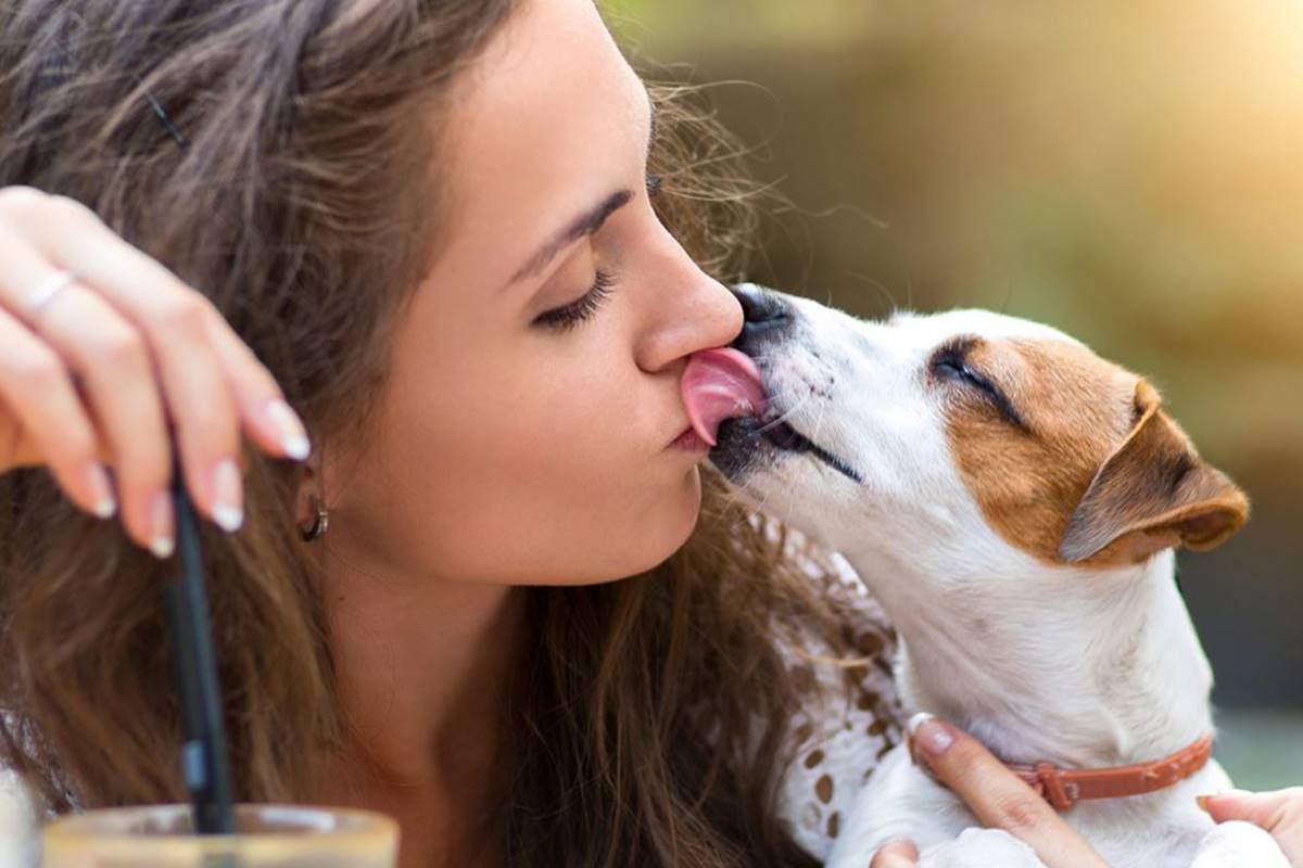 É saudável deixar o cachorro lamber a boca e o rosto de humanos? |  Metrópoles