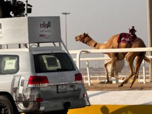 Carro de transmissão segue camelo durante corrida