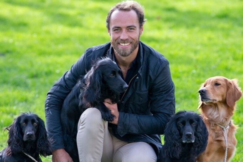 Foto colorida de homem branco, barbudo, ajoelhado. Ele está rodeado de cães com o pelo na cor preta e caramelo - Metrópoles