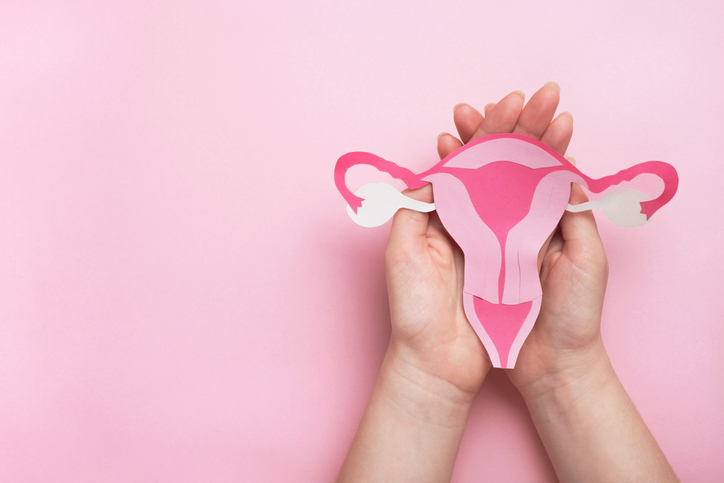 Foto de ovários, útero, sistema reprodutivo feminino feito em papel - Metrópoles