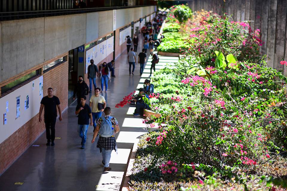 UnB Segue No 5ª Lugar Do Ranking Das Melhores Universidades Federais Do ...