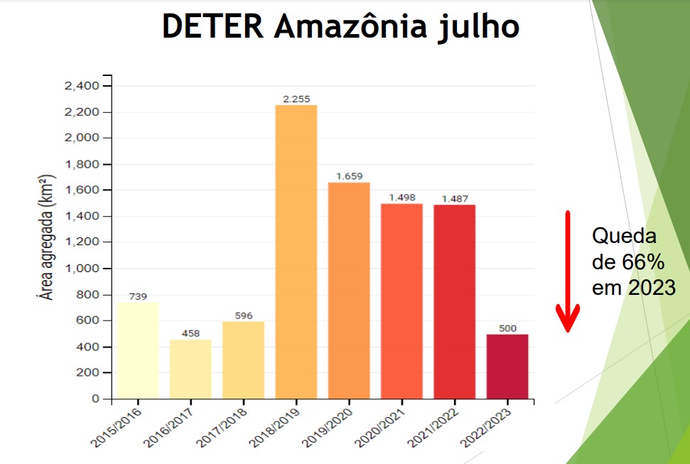 Gráfico colorido sobre desmatamento na Amazônia - Metrópoles