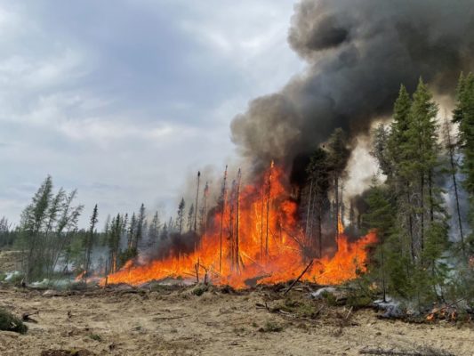 Imagem colorida de chamas invadindo floresta canadense - Metrópoles