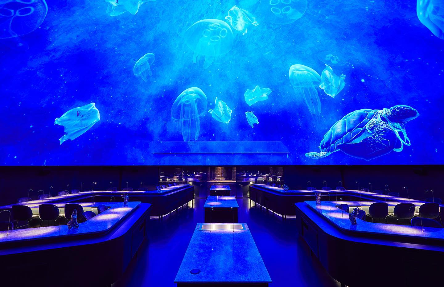 Local amplo com mesas de restaurante e uma projeção grande transmitindo imagens do fundo do mar - Metrópoles