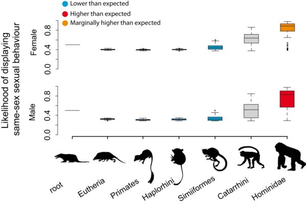 Imagem colorida de mpstra gráfico que relaciona indice de evolução e nível de comportamento homossexual entre classes animais - Metrópoles