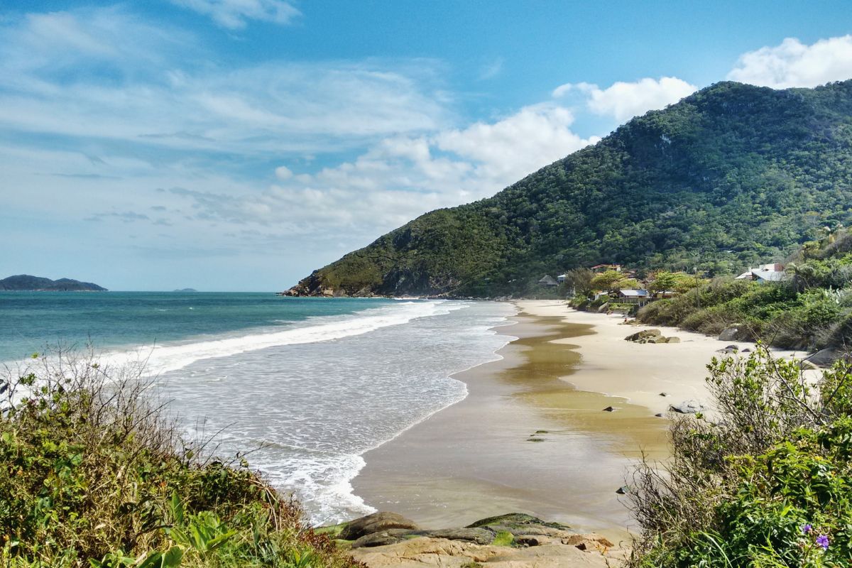 Conheça oito praias de nudismo no Brasil e dicas para visitá-las |  Metrópoles