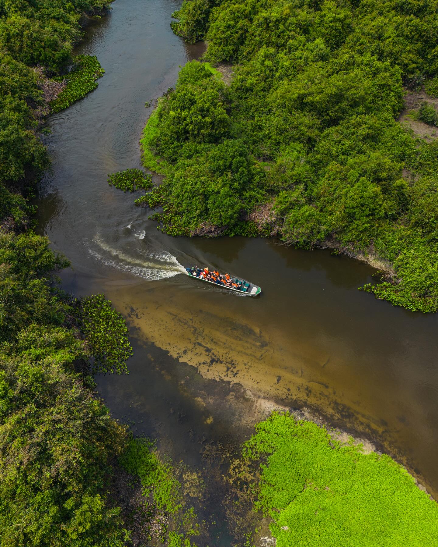 Projeto Rio Salobra Pantanal