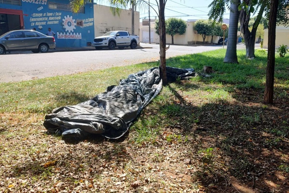 Corpo Em Decomposição é Encontrado Em Lona No Meio De Rua Em Araçatuba Metrópoles 1235