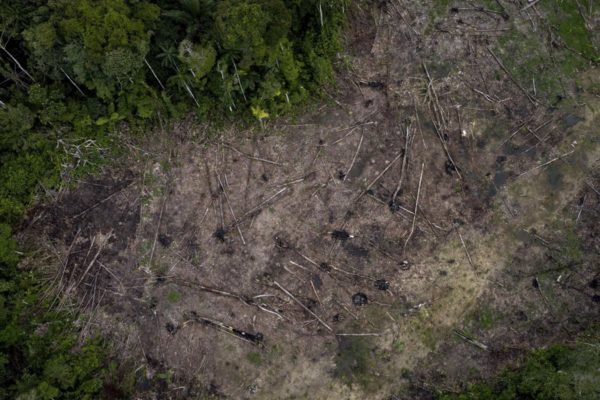 Foto colorida de desmatamento na Amazônia da Colômbia - Metrópoles