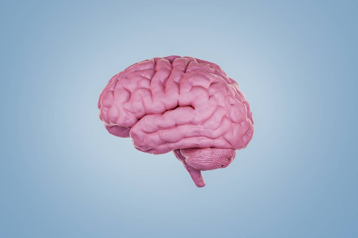 Desenho de um cérebro
