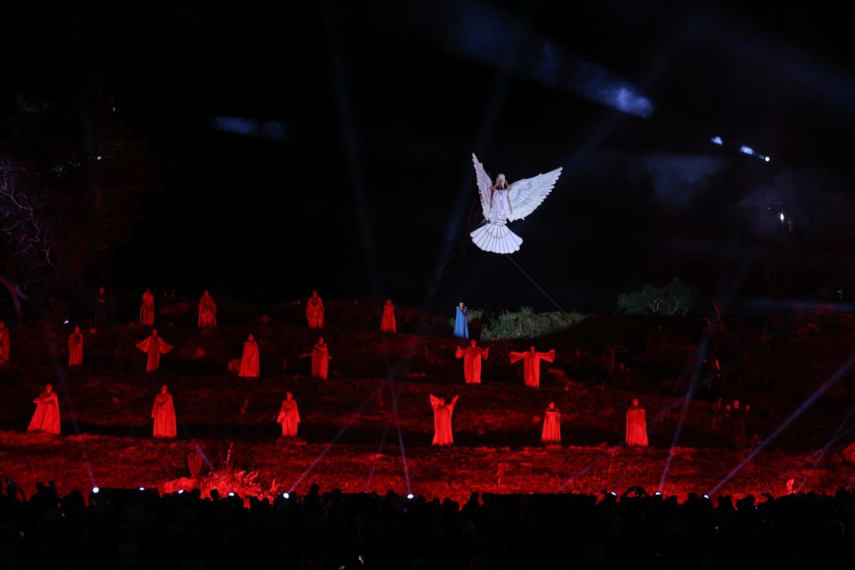 Foto colorida de uma pomba branca gigante na apresentação