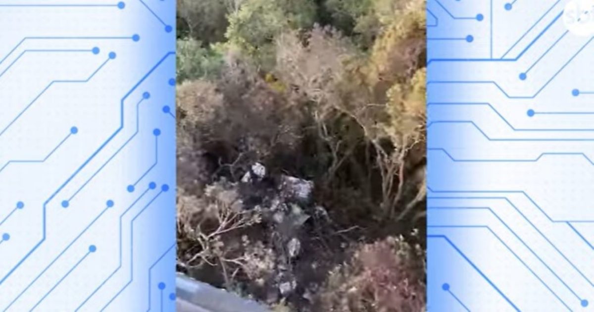 foto colorida de destroços de aeronave encontrados em mata da Serra do Japi (SP) - Metrópoles