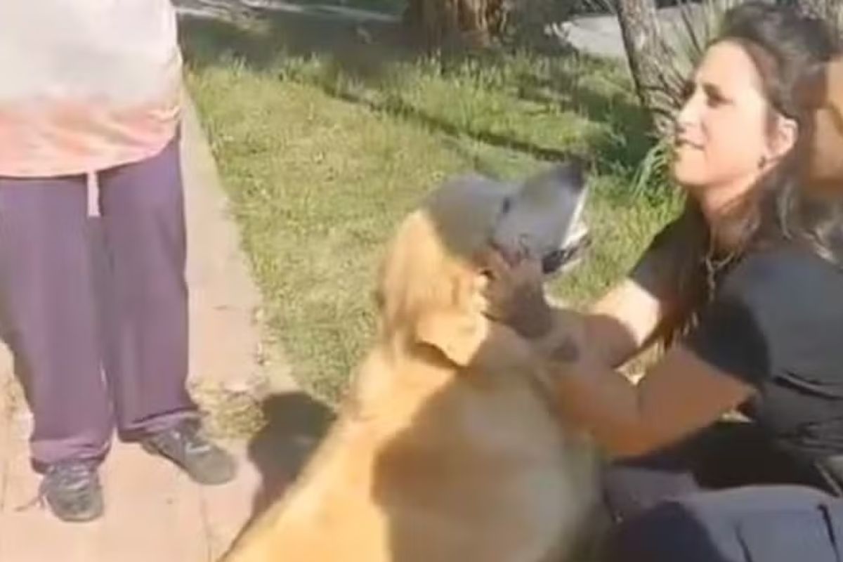 Foto colorida de um cachorro e uma mulher - Metrópoles