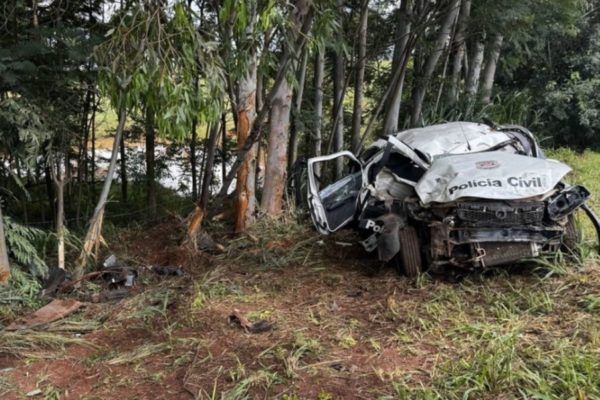 Imagem colorida mostra a viatura que o delegado de polícia Valter Ananias da Costa, de 71 anos, dirigia; ele morreu após bater em uma árvore - Metrópoles