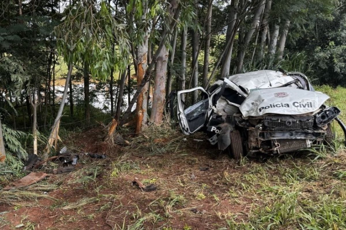 Imagem colorida mostra a viatura que o delegado de polícia Valter Ananias da Costa, de 71 anos, dirigia; ele morreu após bater em uma árvore - Metrópoles