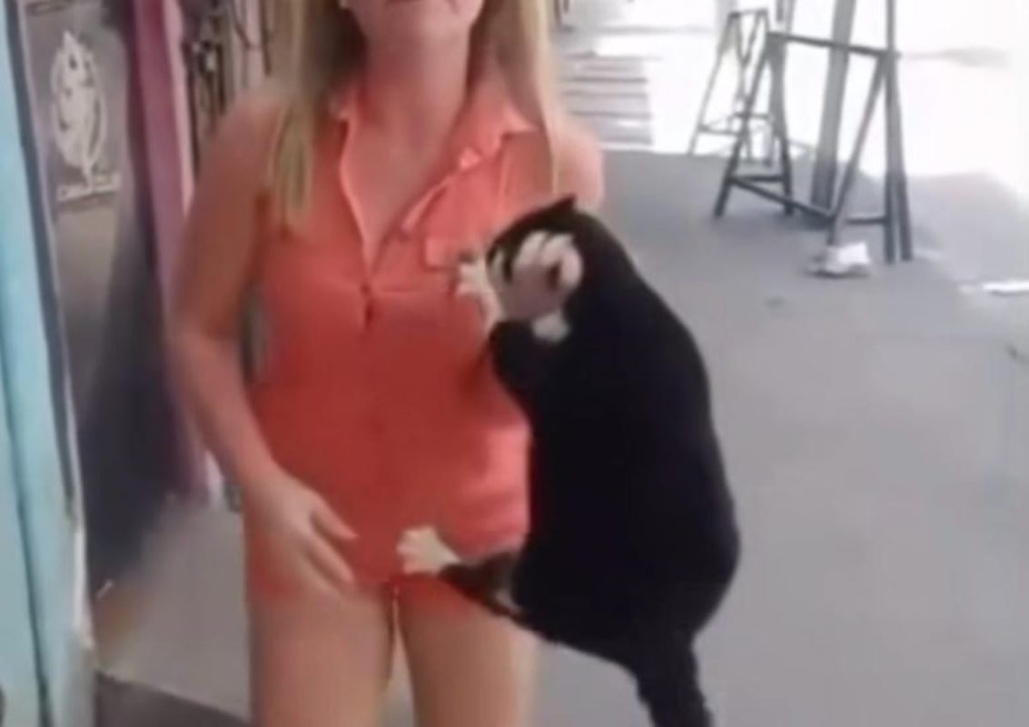 Vídeo mulher sufoca gata