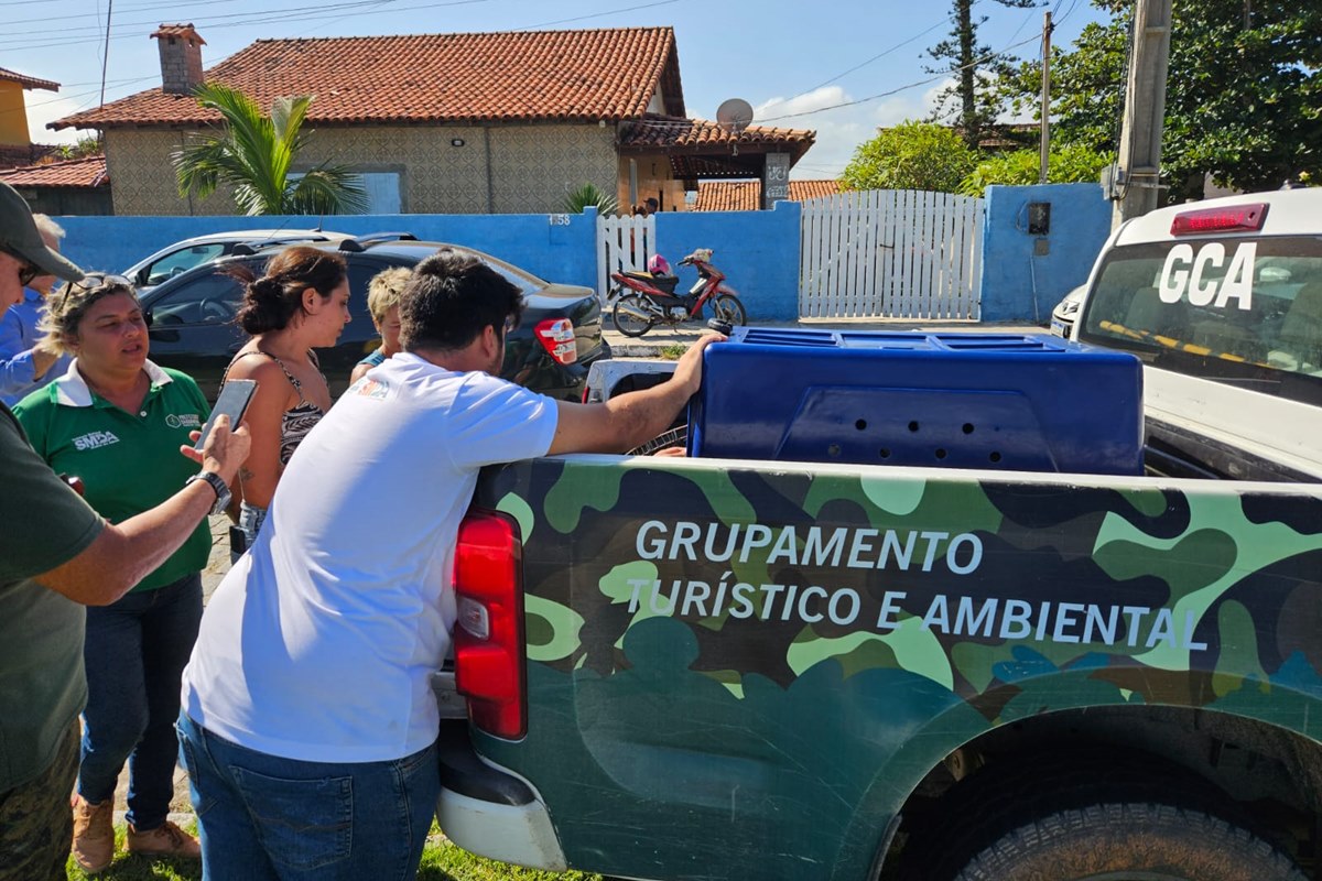 Imagem mostra o momento em que cachorros que atacaram escritora são recolhidos - Metrópoles