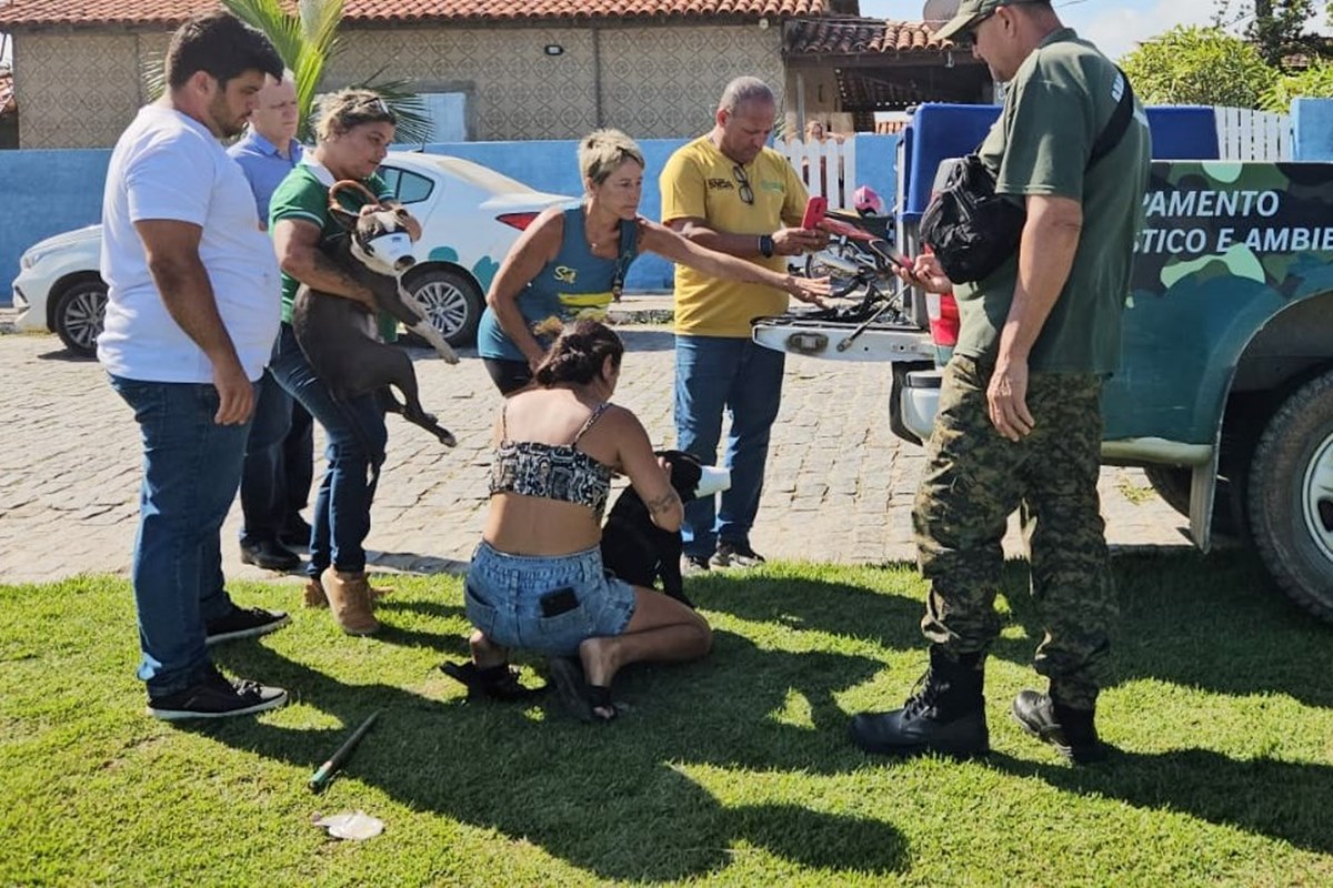 Imagem mostra o momento em que cachorros que atacaram escritora são recolhidos - Metrópoles