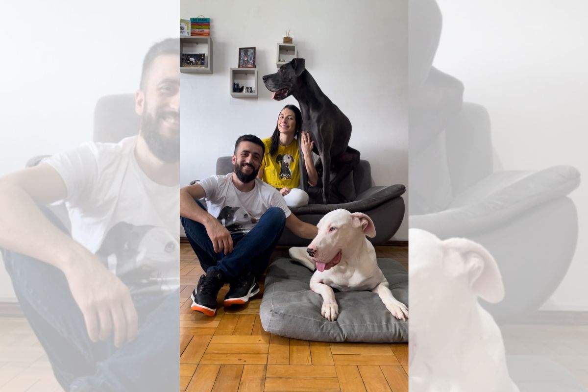 Foto colorida de um casal e dois cachorros - Metrópoles