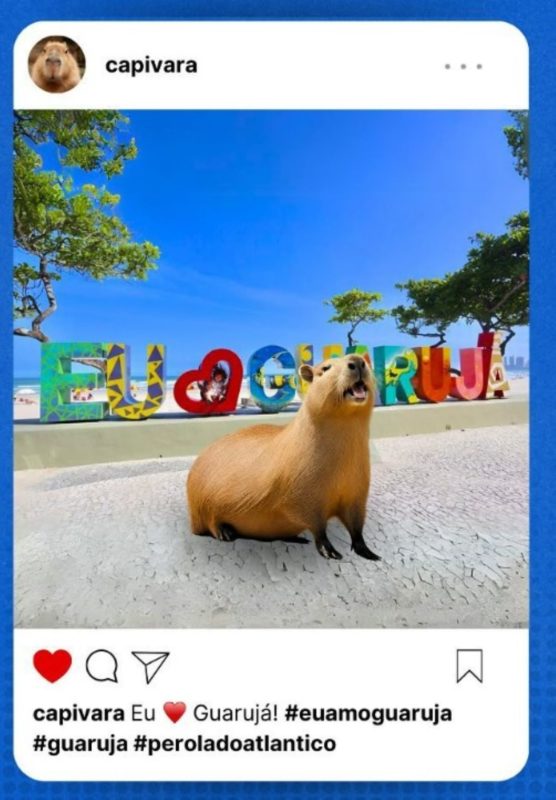 Imagem mostra capivara em frente a letreiro na praia - Metrópoles