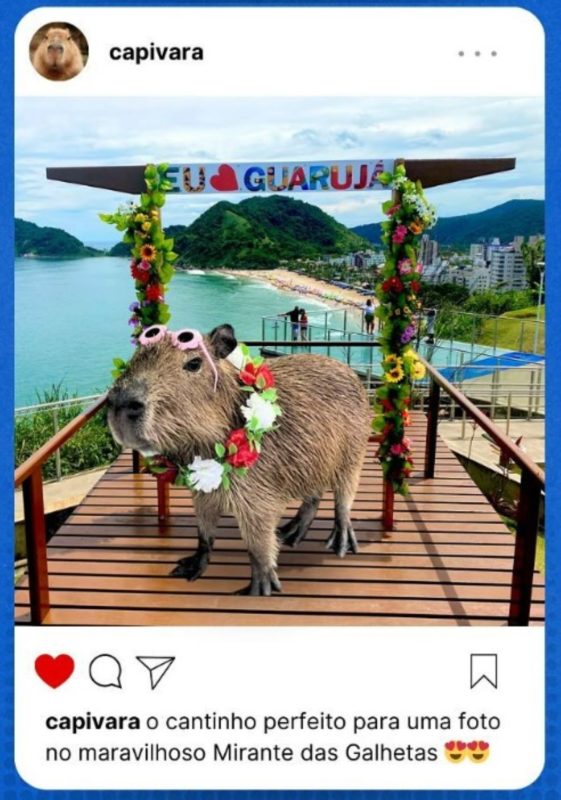 Capivara enfeitada em mirante - Metrópoles