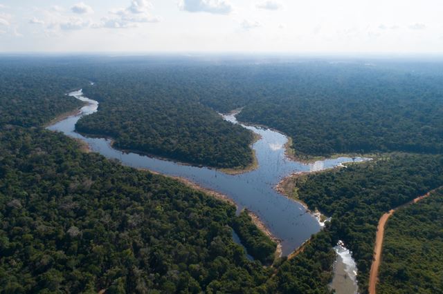 Rio na Amazônia visto de cima - Metrópoles