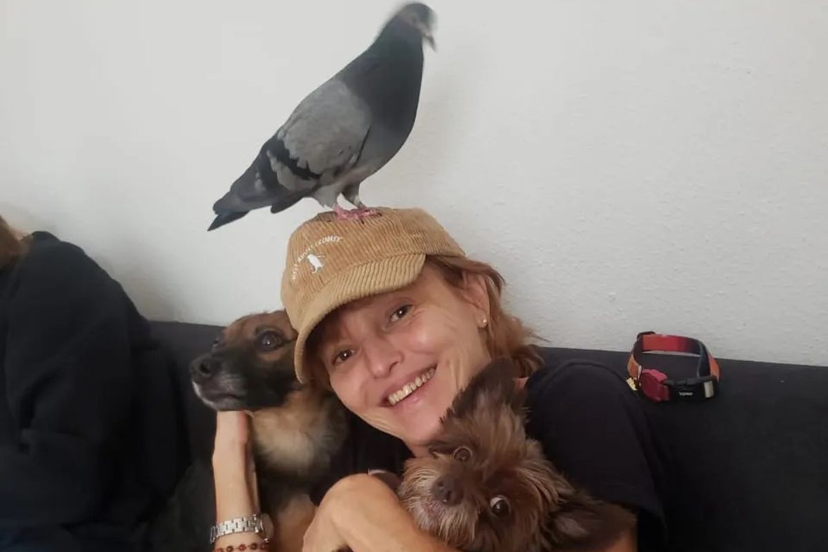 mulher abraçando dois cachorros com um pombo na cabeça