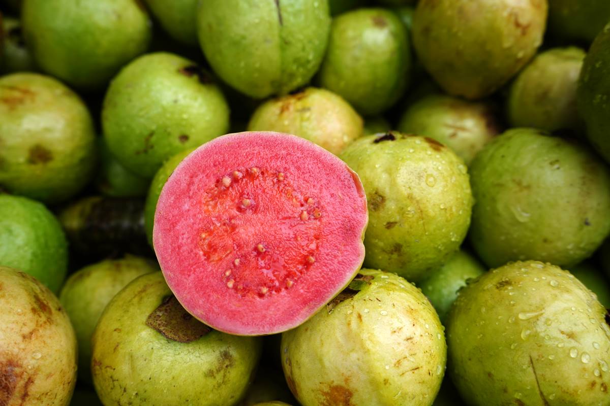 A goiaba é uma das frutas com o maior índice de proteína em sua composição