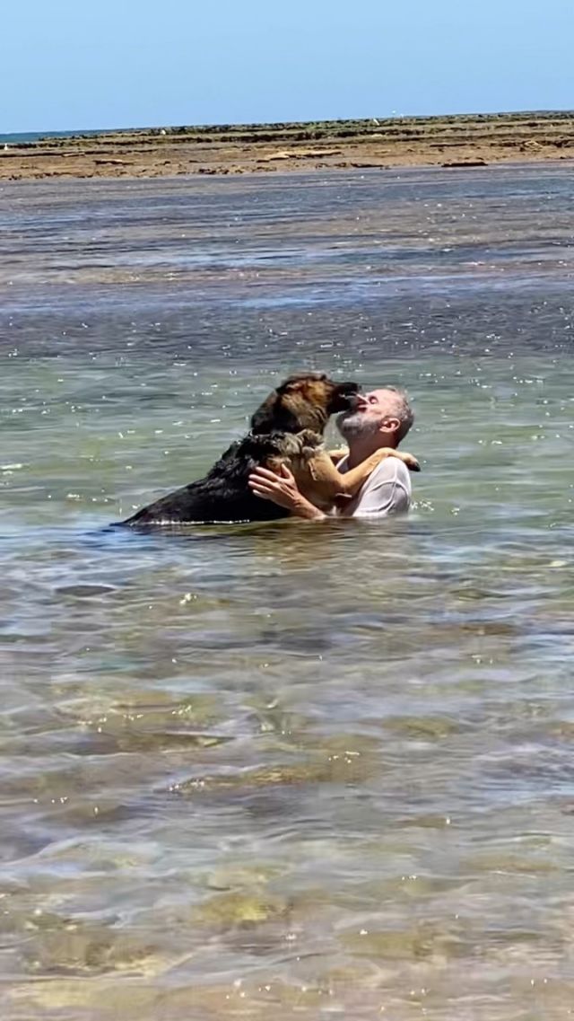 Paulo Borges e cachorro na águas - Metrópoles